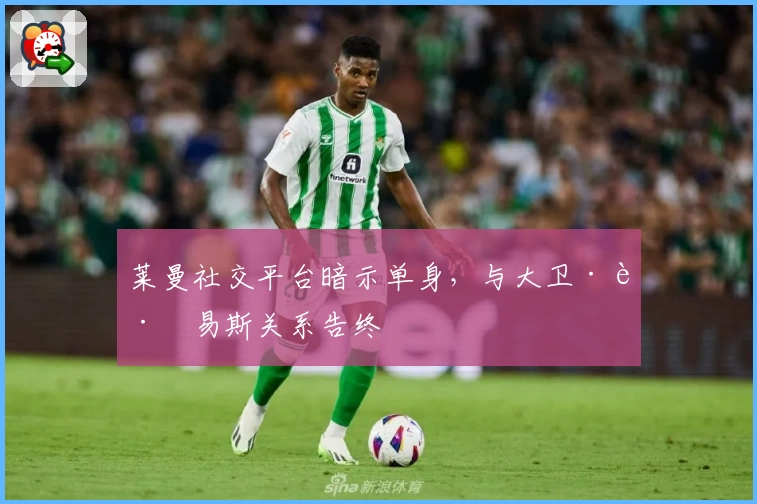 莱曼社交平台暗示单身，与大卫·路易斯关系告终