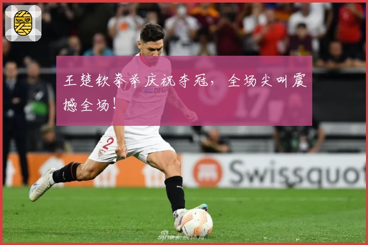 王楚钦拳举庆祝夺冠，全场尖叫震撼全场！