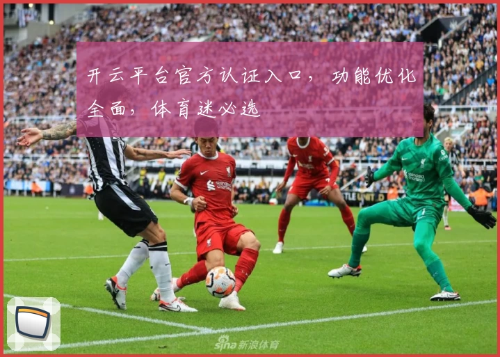 开云平台官方认证入口，功能优化全面，体育迷必选