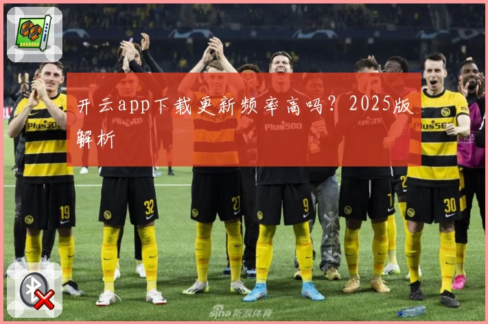 开云app下载更新频率高吗？2025版解析