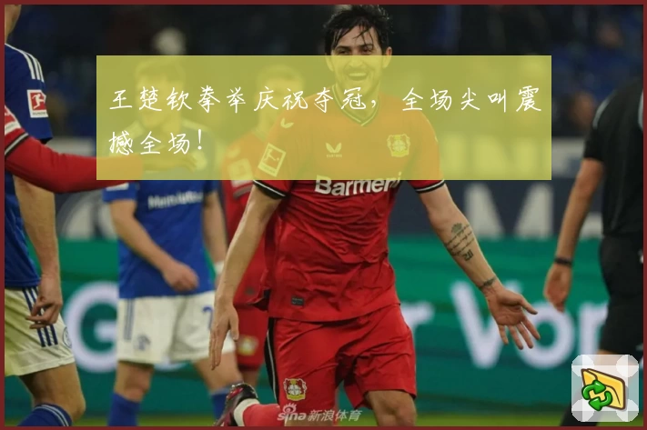 王楚钦拳举庆祝夺冠，全场尖叫震撼全场！