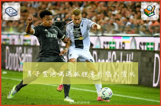 男子雪地偶遇狐狸意外陷入雪坑